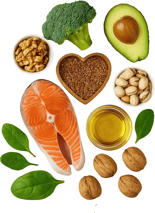 LIP-Zym forte Bild mit gesunden Lebensmittel und gesunden Fetten